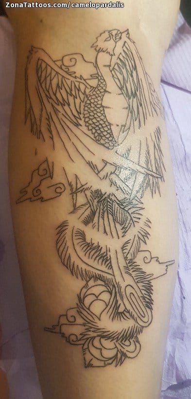 Tattoo photo Phoenix