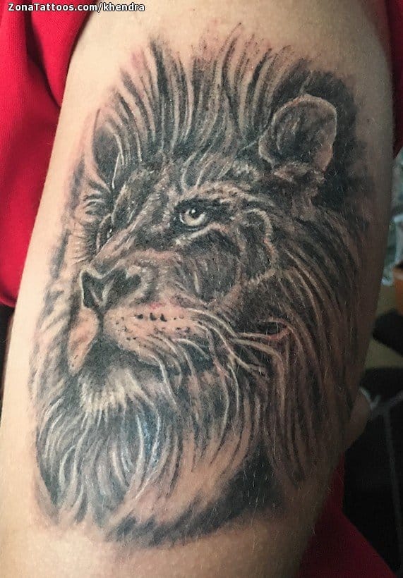 Tattoo photo Lions, Animals