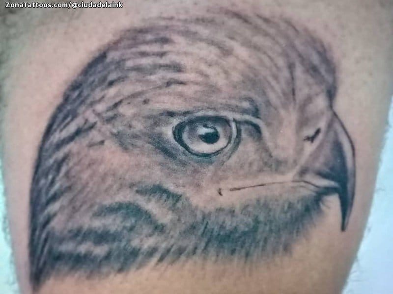 Tattoo photo Eagles, Birds, Animals