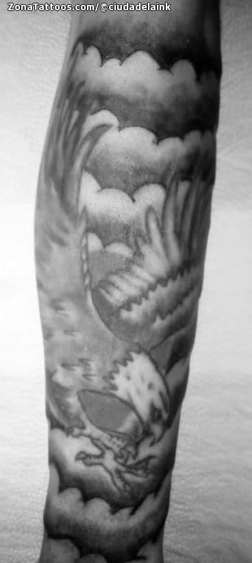 Tattoo photo Eagles, Birds, Animals