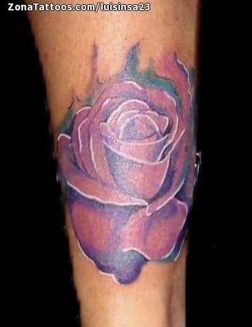 Foto de tatuaje Rosas, Flores