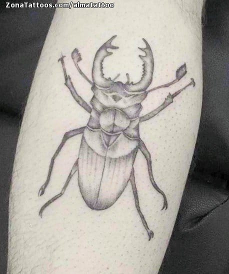 Tattoo photo Beetles, Insects