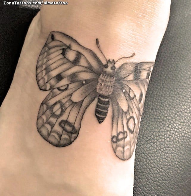 Tattoo photo Butterflies, Insects