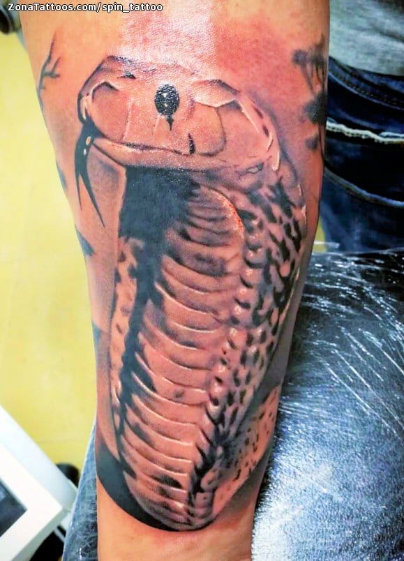 Tattoo photo Cobras, Snakes, Animals