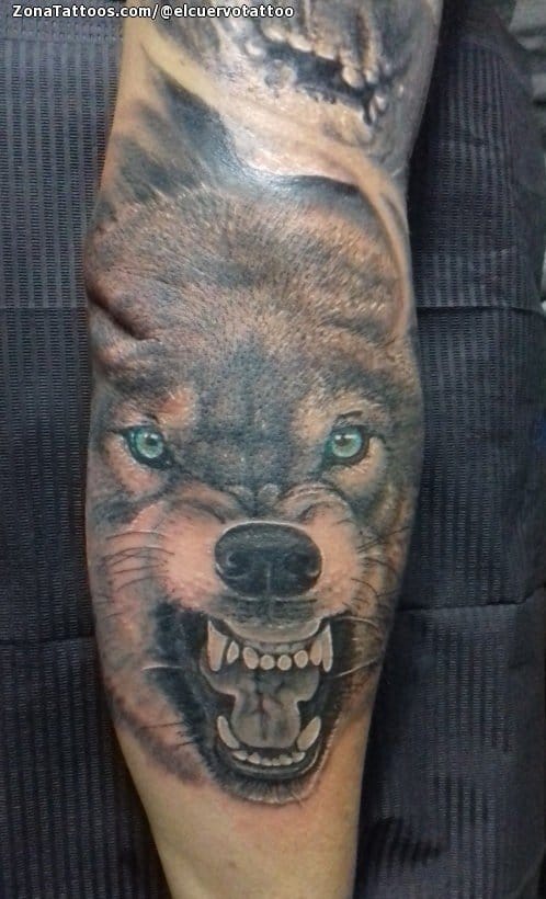 Foto de tatuaje Lobos, Animales, Antebrazo