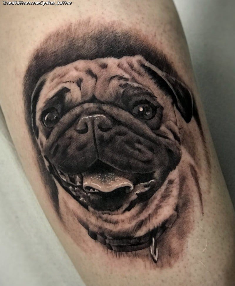 Foto de tatuaje Perros, Animales