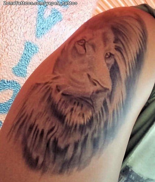 Tattoo of Lions, Animals, Shoulder