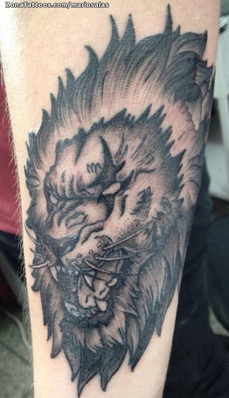 Tattoo photo Lions, Animals