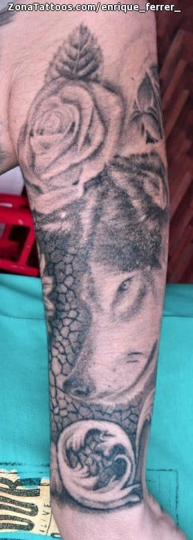 Foto de tatuaje Lobos, Animales, Antebrazo