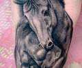 Tattoo by Enrique_ferrer_