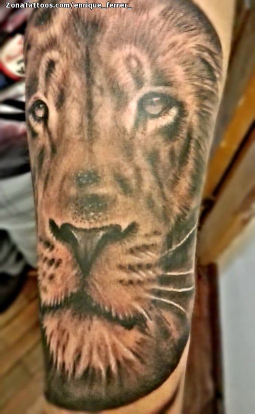 Tattoo photo Lions, Animals