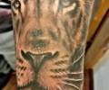Tatuaje de Enrique_ferrer_
