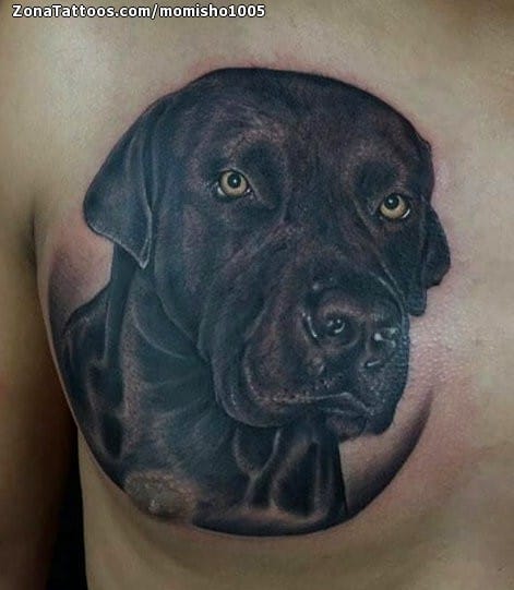 Foto de tatuaje Perros, Animales, Pecho