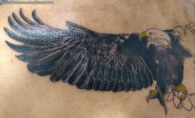 Tattoo photo Eagles, Birds, Animals