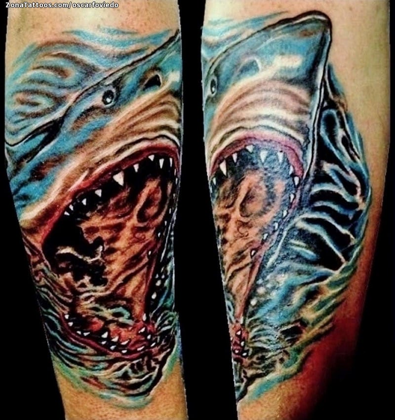 Tattoo photo Sharks, Animals