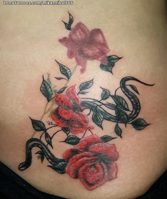 Tattoo photo Roses, Snakes, Flowers