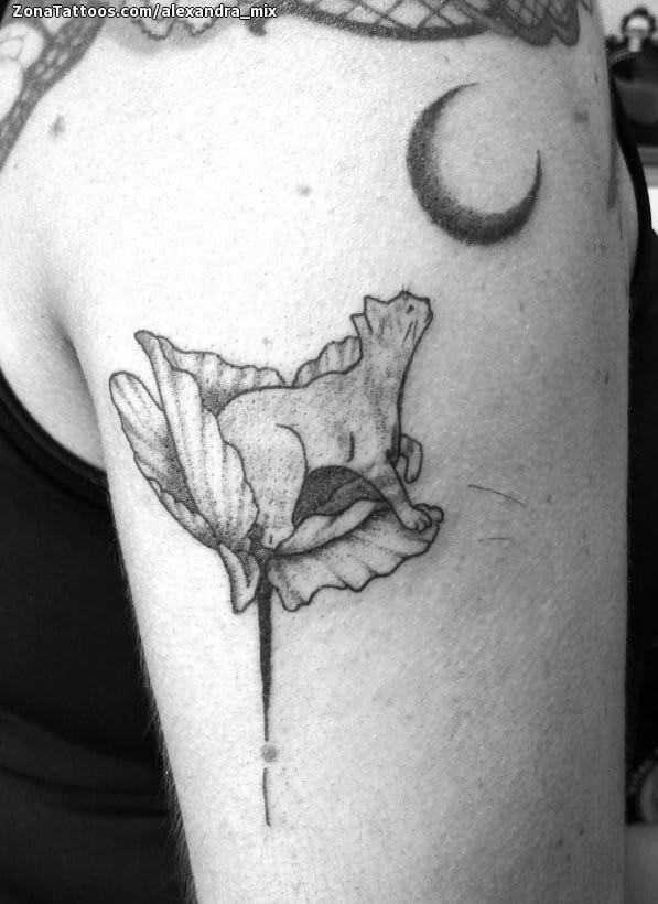 Foto de tatuaje Flores, Lunas, Gatos