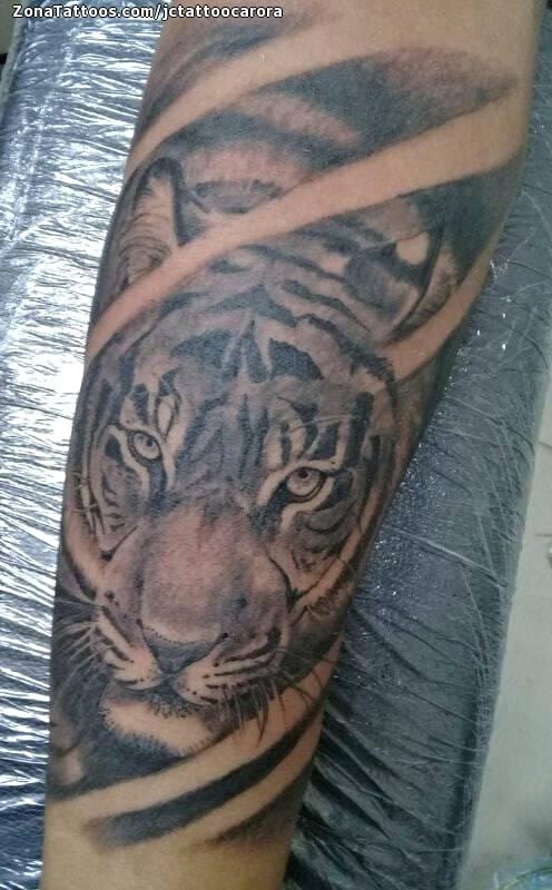 Foto de tatuaje Tigres, Animales