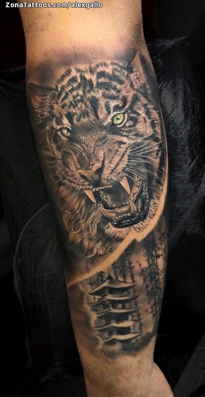 Foto de tatuaje Tigres, Pagodas, Animales