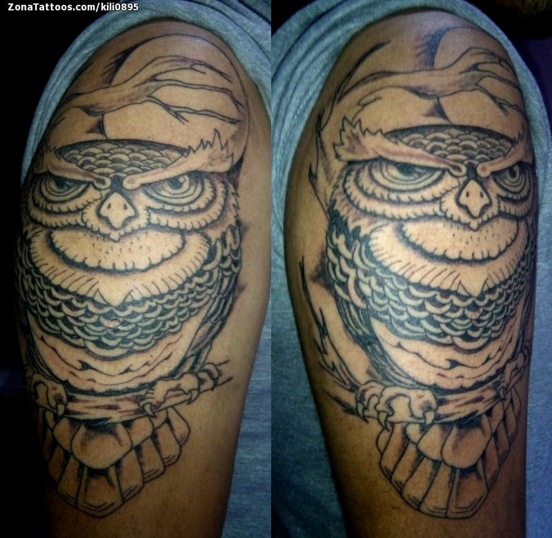 Foto de tatuaje Búhos, Aves, Animales