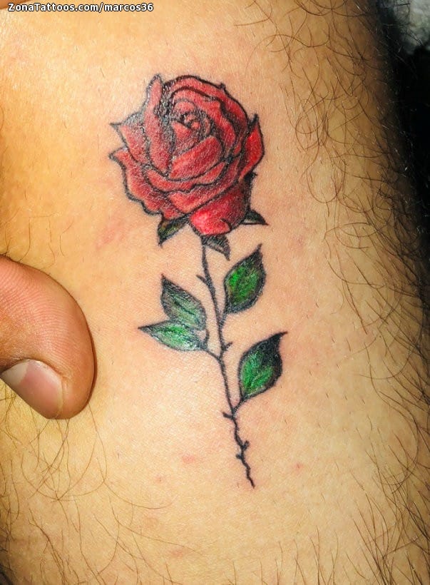 Tattoo photo Flowers, Roses, Tiny