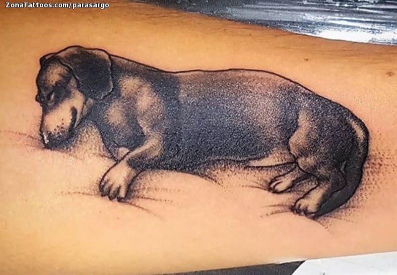 Foto de tatuaje Perros, Animales