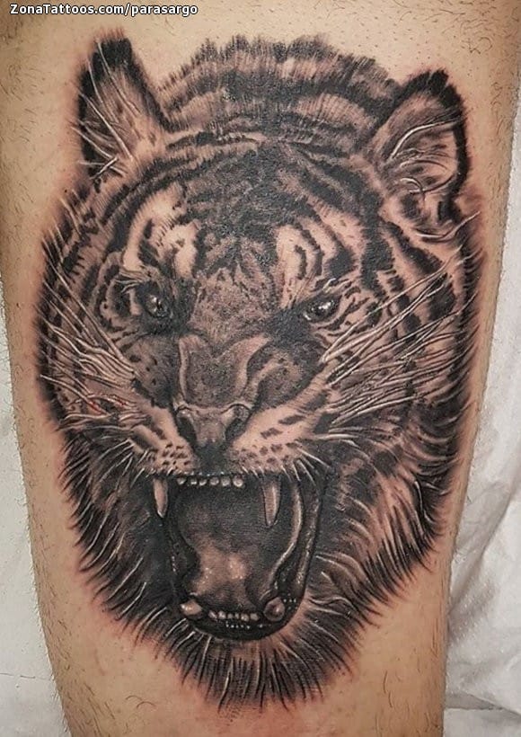 Tattoo photo Tigers, Animals