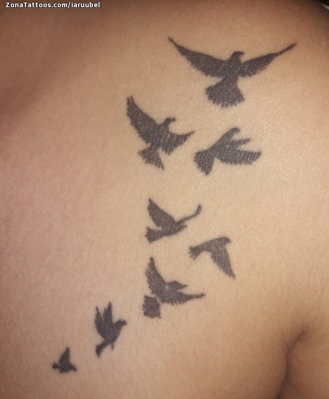 Foto de tatuaje Aves, Animales