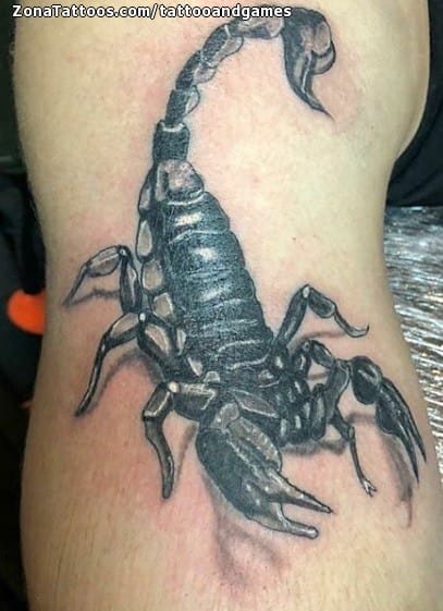 Tattoo photo Scorpions, Animals