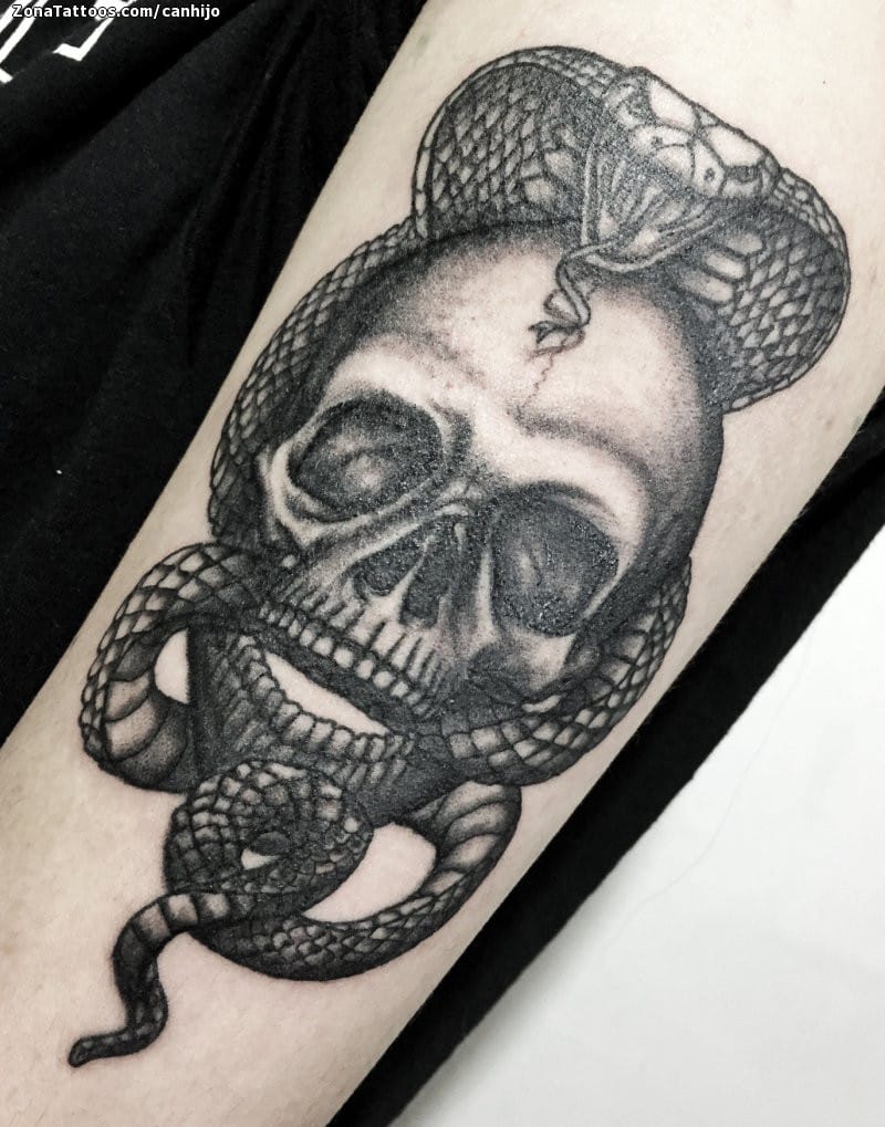 Tattoo photo Skulls, Cobras, Snakes