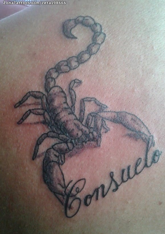 Tattoo photo Scorpions, Animals