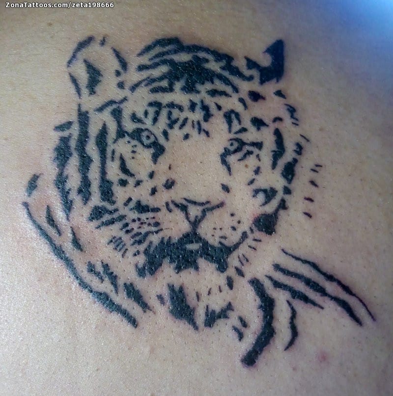 Foto de tatuaje Tigres, Animales