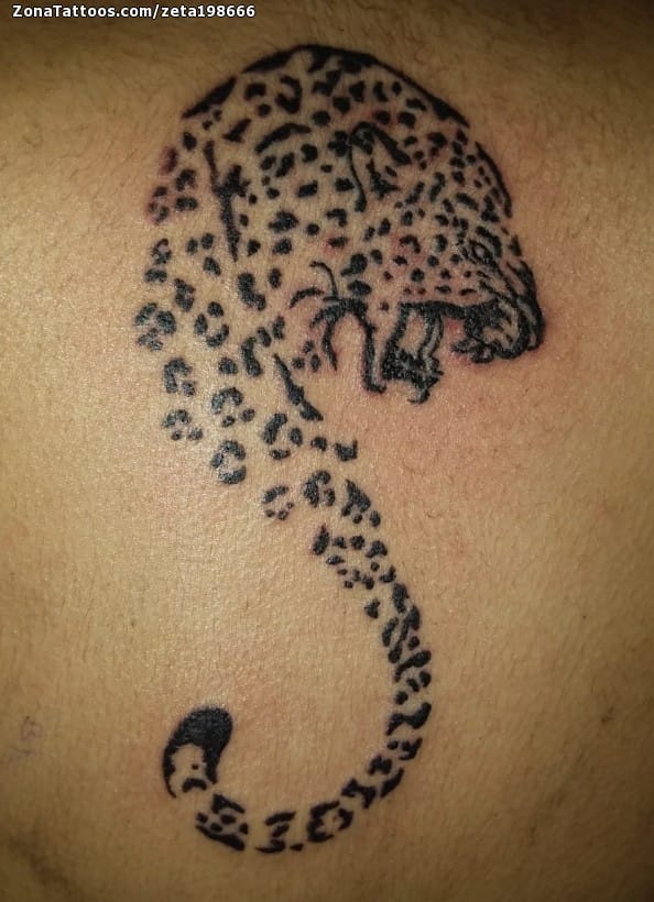 Foto de tatuaje Leopardos, Animales