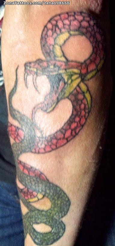 Tattoo photo Snakes, Animals