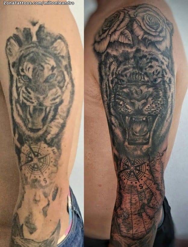 Foto de tatuaje Tigres, Animales, Cover Up