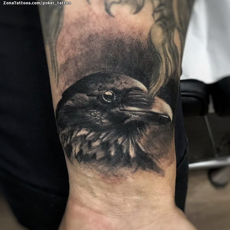 Foto de tatuaje Cuervos, Aves, Animales