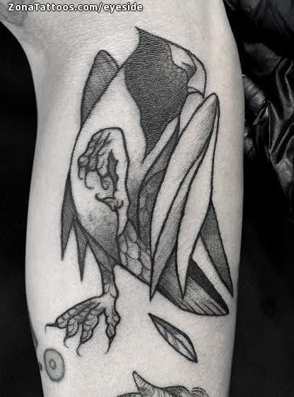 Foto de tatuaje Halcones, Aves, Animales