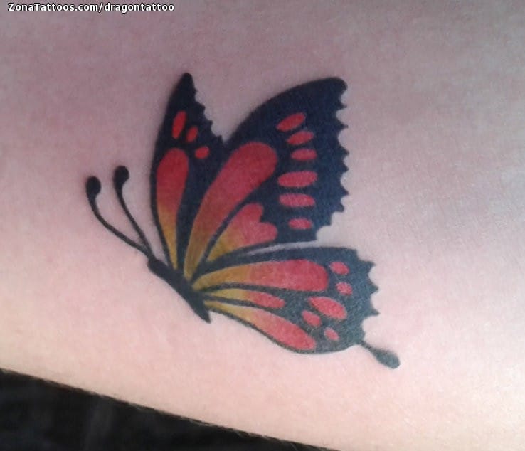 Tattoo photo Butterflies, Insects, Tiny