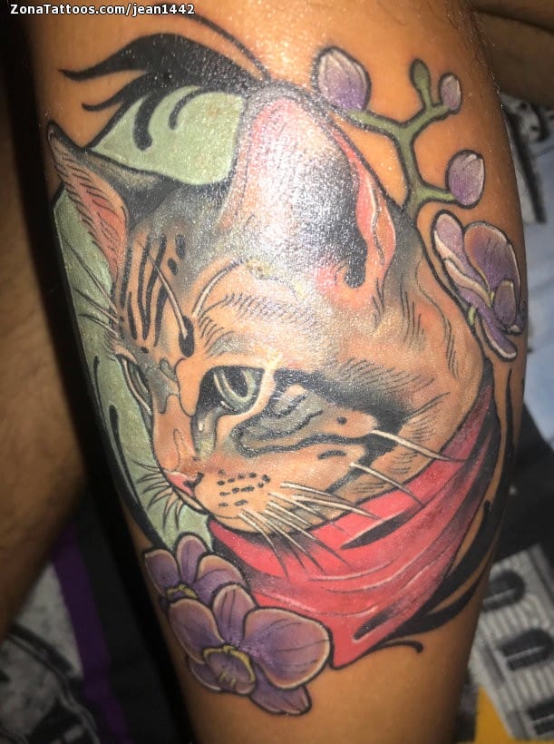 Foto de tatuaje Gatos, Animales