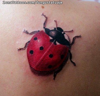 Foto de tatuaje Mariquitas, Insectos