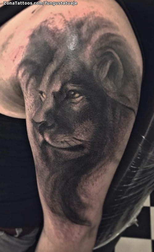 Tattoo photo Lions, Animals, Shoulder