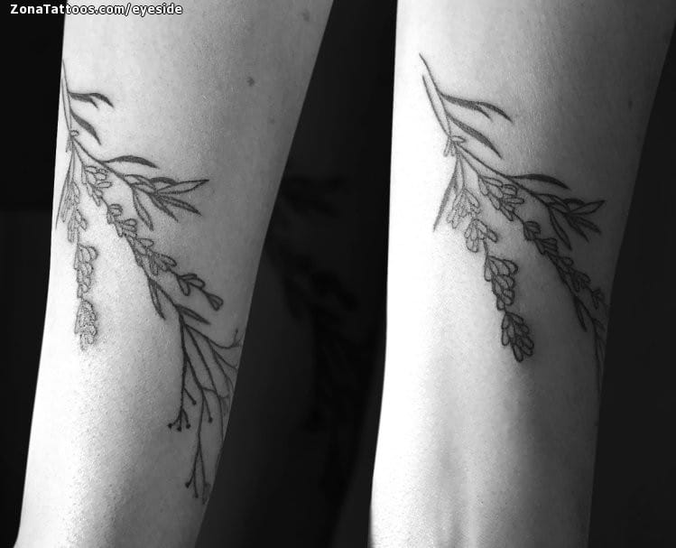 Tattoo photo Flowers, Plants