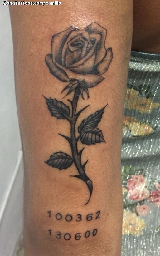 Tattoo photo Roses, Flowers