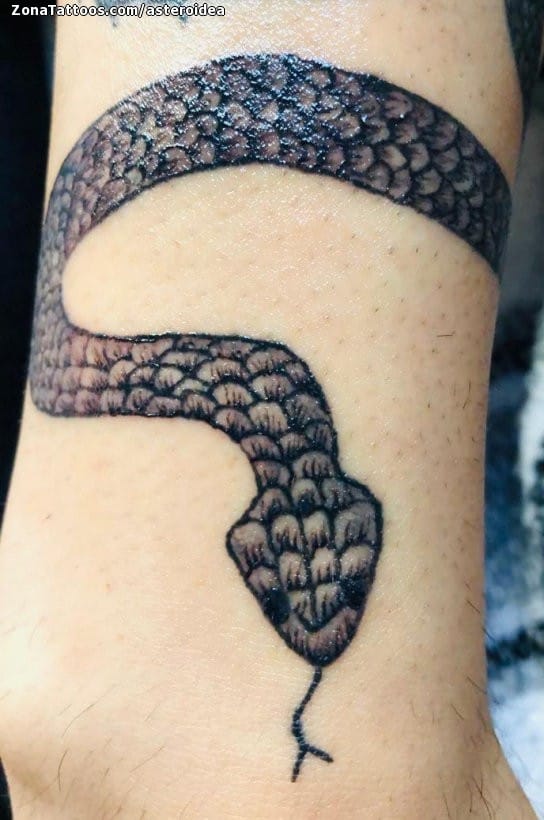 Foto de tatuaje Serpientes, Animales, Brazaletes