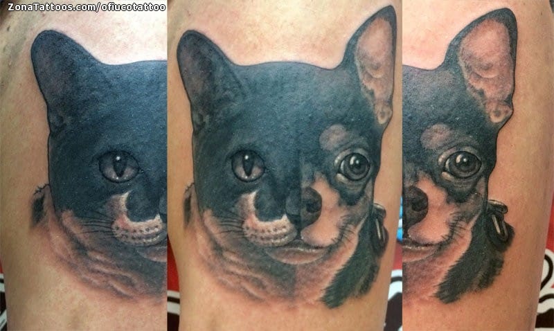 Foto de tatuaje Perros, Gatos, Animales