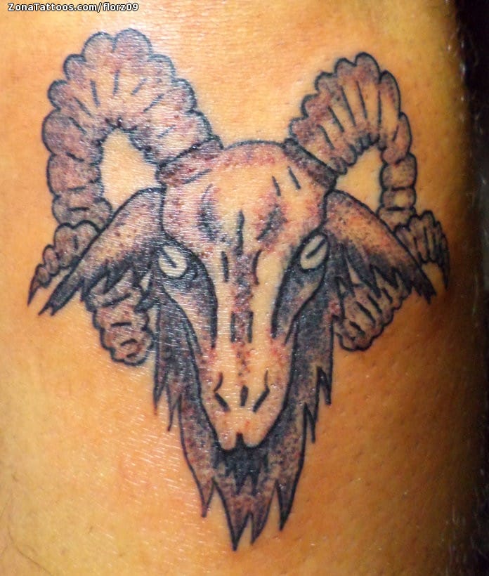 Tattoo photo Rams, Animals