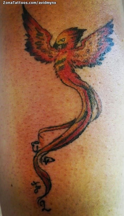 Tattoo photo Phoenix, Fantasy