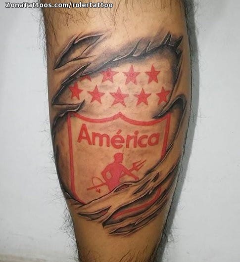 Foto de tatuaje Desgarros, Escudos