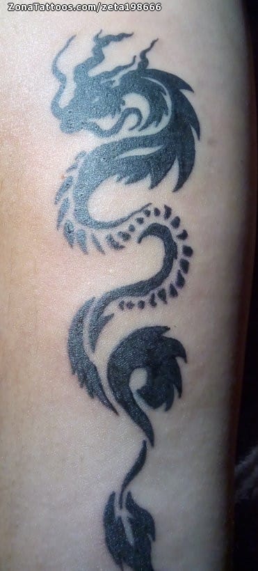 Foto de tatuaje Dragones, Tribales, Orientales