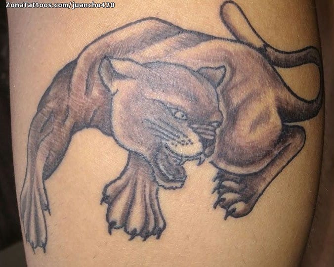 Tattoo of Cougar, Animals, Leg